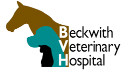 BVH Logo