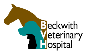 BVH Logo